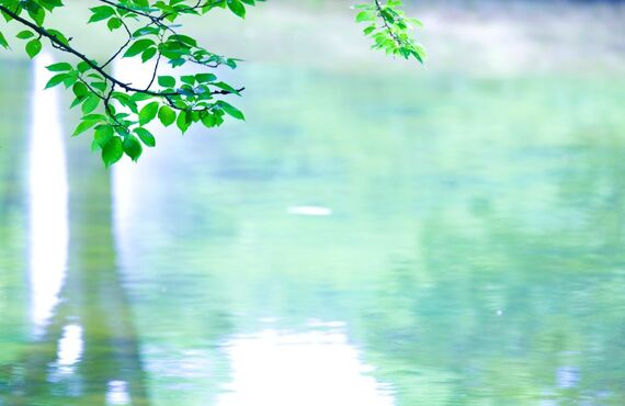 堺市の安いホワイトニング