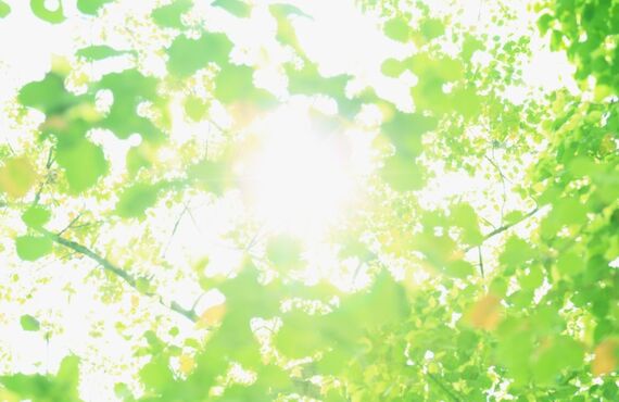 堺市のおすすめのホワイトニング